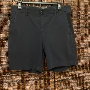 Everlane Shorts Size 32 Blue